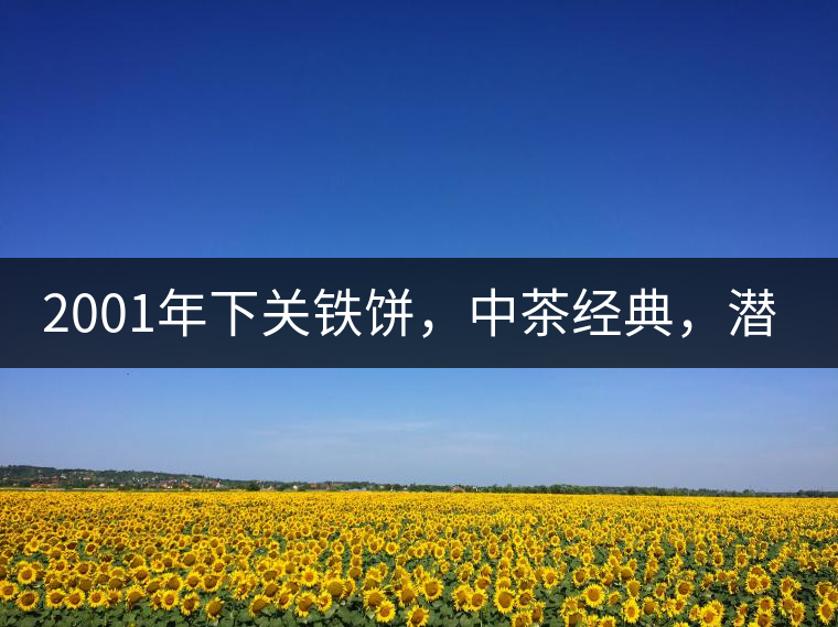 2001年下關(guān)鐵餅，中茶經(jīng)典，潛力可期!