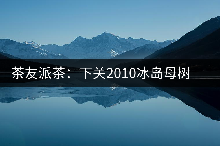 茶友派茶：下關(guān)2010冰島母樹(shù)，挺甜的，母樹(shù)是個(gè)什么概念？