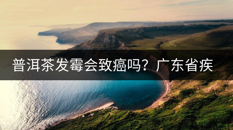 普洱茶發(fā)霉會(huì)致癌嗎？廣東省疾病預(yù)防控制中心檢測的結(jié)果是…
