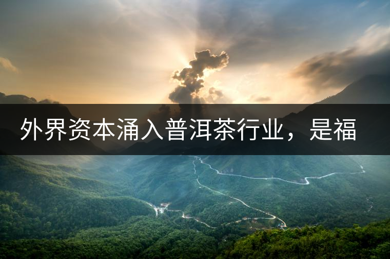 外界資本涌入普洱茶行業(yè)，是福還是禍？