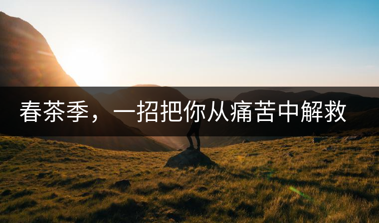 春茶季，一招把你從痛苦中解救出來