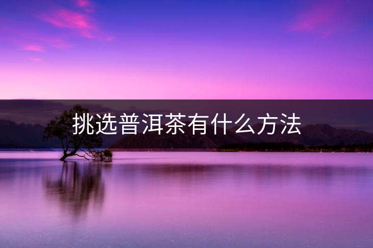 挑選普洱茶有什么方法