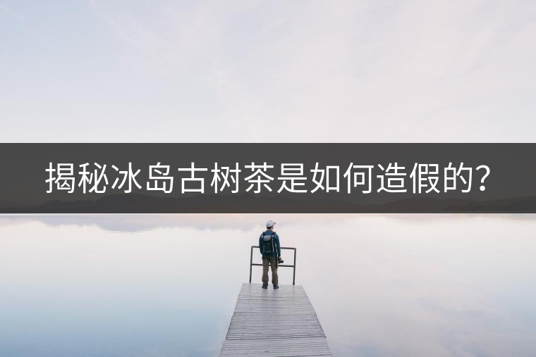 揭秘冰島古樹茶是如何造假的？