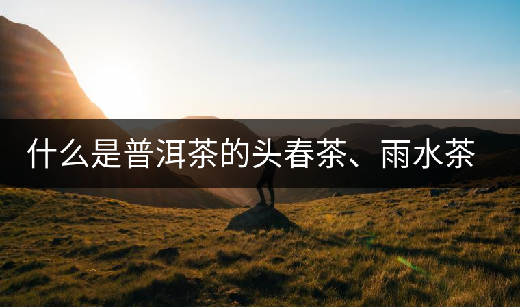 什么是普洱茶的頭春茶、雨水茶和谷花茶，怎樣區(qū)別？