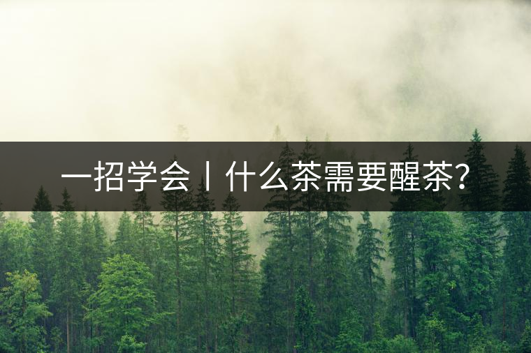 一招學(xué)會(huì)丨什么茶需要醒茶？