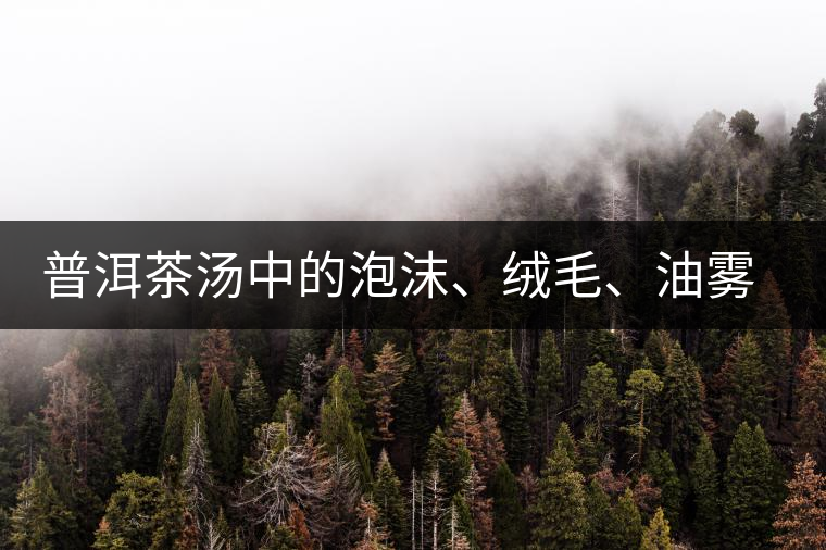 普洱茶湯中的泡沫、絨毛、油霧、絮狀物……原來是這些東西！