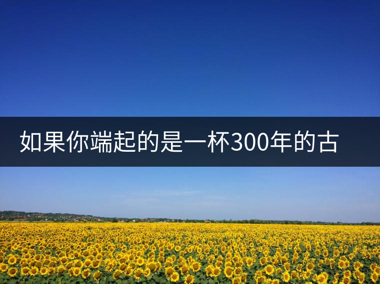 如果你端起的是一杯300年的古樹茶，那會是一種怎樣的心境？