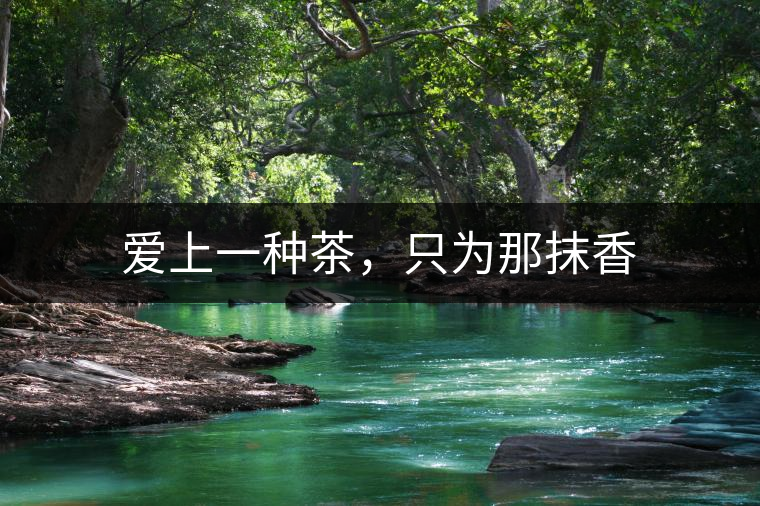 愛(ài)上一種茶，只為那抹香