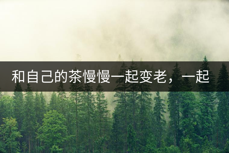 和自己的茶慢慢一起變老，一起變好