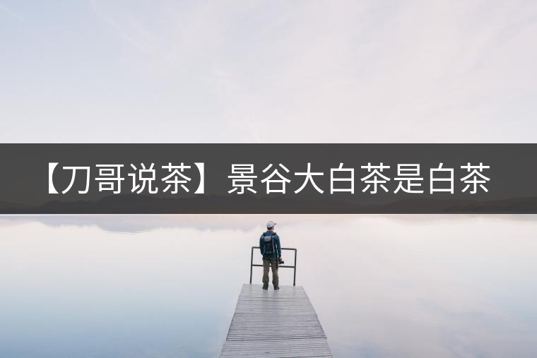 【刀哥說茶】景谷大白茶是白茶還是普洱茶? 【刀哥說茶】景谷大白茶是白茶還是普洱茶?
