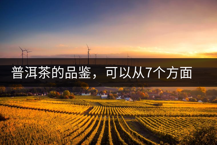 普洱茶的品鑒，可以從7個(gè)方面著手