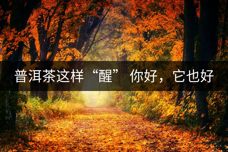 普洱茶這樣“醒” 你好，它也好