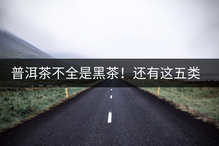 普洱茶不全是黑茶！還有這五類茶，現(xiàn)在知道還不算晚