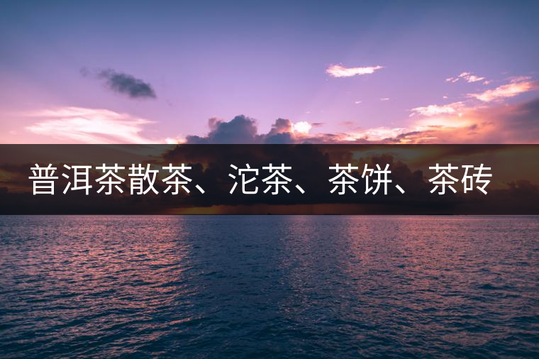 普洱茶散茶、沱茶、茶餅、茶磚哪種更好？