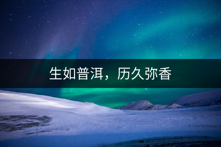 生如普洱，歷久彌香