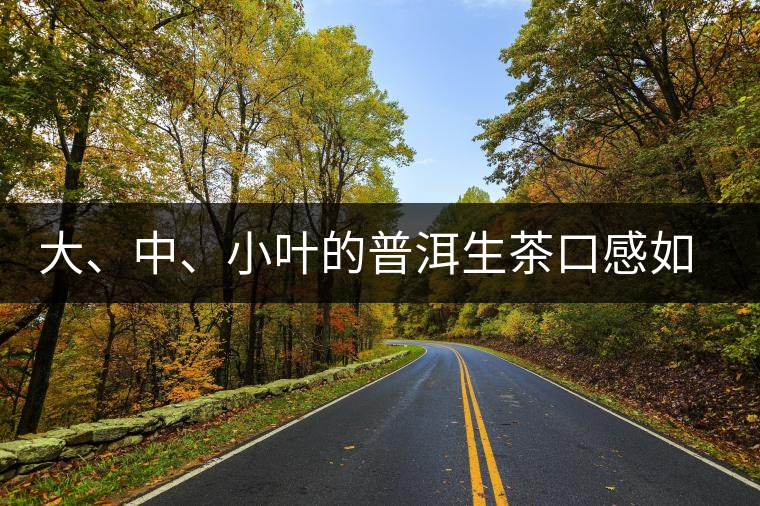 大、中、小葉的普洱生茶口感如何辨別？