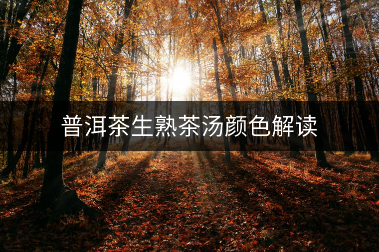 普洱茶生熟茶湯顏色解讀