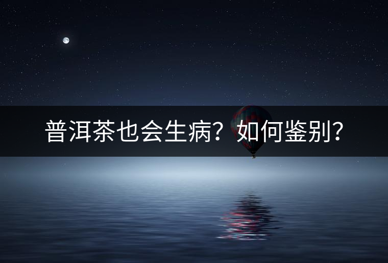 普洱茶也會生??？如何鑒別？