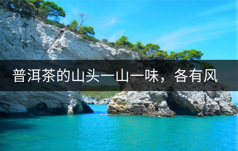 普洱茶的山頭一山一味,各有風格 普洱茶的山頭一山一味,各有風格