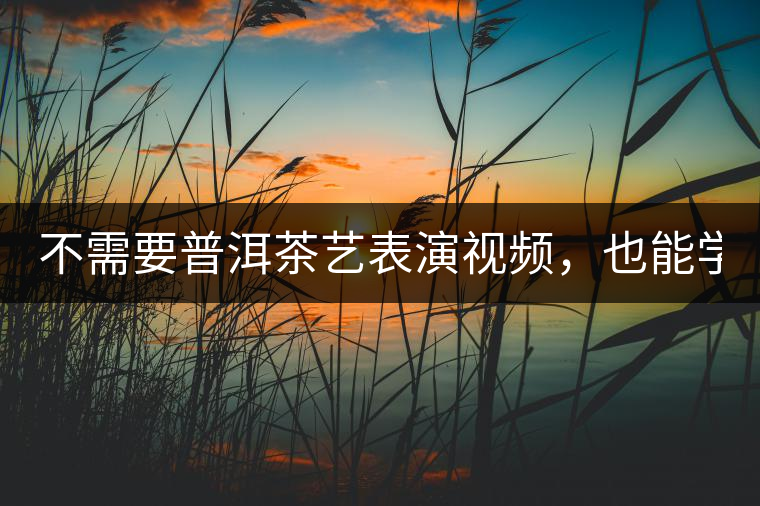 不需要普洱茶藝表演視頻，也能學(xué)會(huì)的茶藝！