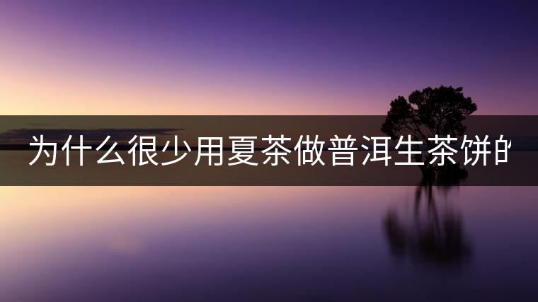 為什么很少用夏茶做普洱生茶餅的？