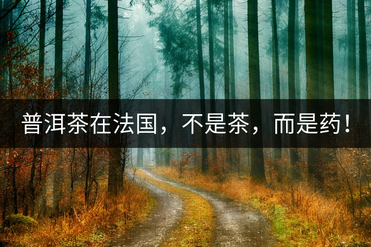 普洱茶在法國，不是茶，而是藥！