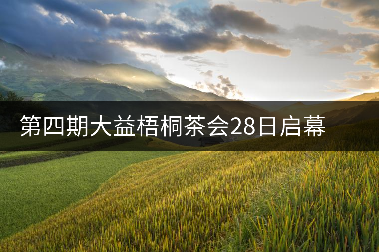 第四期大益梧桐茶會(huì)28日啟幕 益友共聚昆明植物園閑聊茶與禪 第四期大益梧桐茶會(huì)28日啟幕 益友共聚昆明植物園閑聊茶與禪