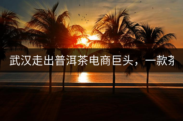 武漢走出普洱茶電商巨頭，一款茶葉一天賣了27萬件