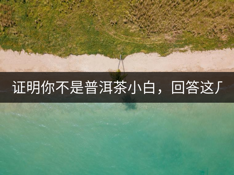 證明你不是普洱茶小白，回答這幾個問題先！