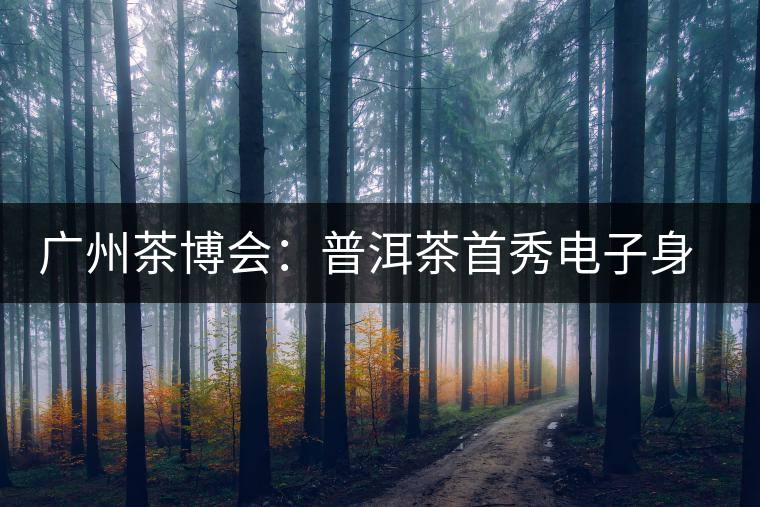 廣州茶博會:普洱茶首秀電子身份證 廣州茶博會:普洱茶首秀電子身份證