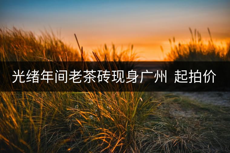 光緒年間老茶磚現(xiàn)身廣州  起拍價50萬