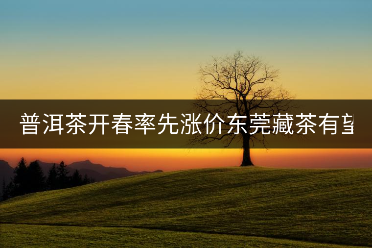 普洱茶開春率先漲價(jià)東莞藏茶有望“開倉(cāng)” 普洱茶開春率先漲價(jià)東莞藏茶有望“開倉(cāng)”