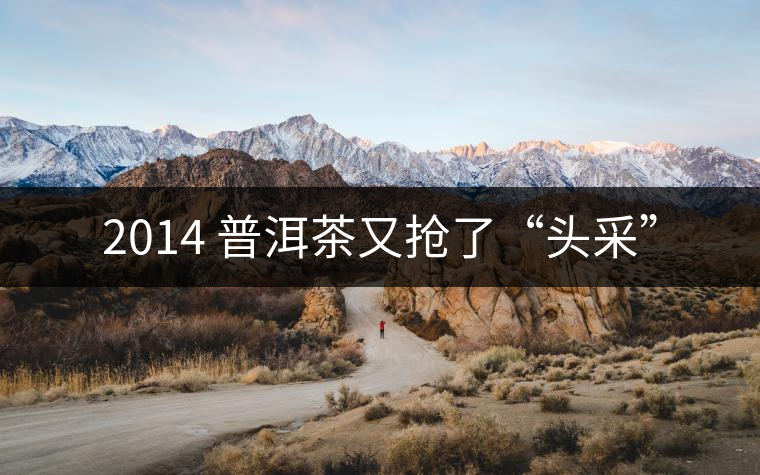 2014 普洱茶又搶了“頭采”