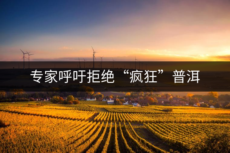 專(zhuān)家呼吁拒絕“瘋狂”普洱 專(zhuān)家呼吁拒絕“瘋狂”普洱