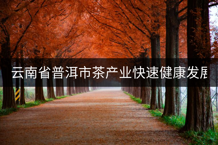 云南省普洱市茶產業(yè)快速健康發(fā)展 總產值86億元
