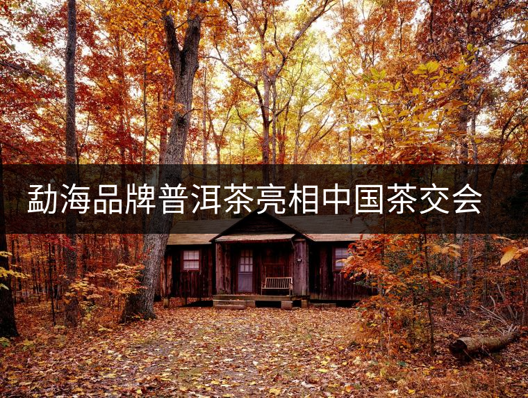 勐海品牌普洱茶亮相中國(guó)茶交會(huì) 百余茶企參展 勐海品牌普洱茶亮相中國(guó)茶交會(huì) 百余茶企參展