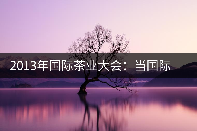 2013年國際茶業(yè)大會:當(dāng)國際元素遇上普洱 2013年國際茶業(yè)大會:當(dāng)國際元素遇上普洱
