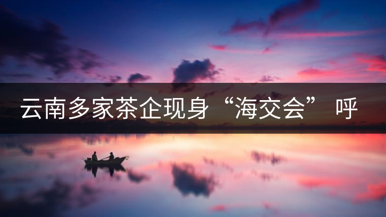 云南多家茶企現(xiàn)身“海交會” 呼吁普洱茶投資應理性