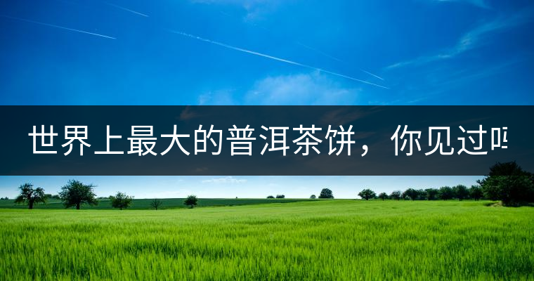 世界上最大的普洱茶餅，你見(jiàn)過(guò)嗎？