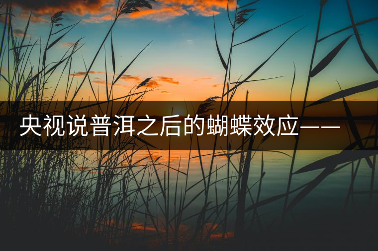 央視說普洱之后的蝴蝶效應(yīng)——過度開采會出現(xiàn)“死循環(huán)”？