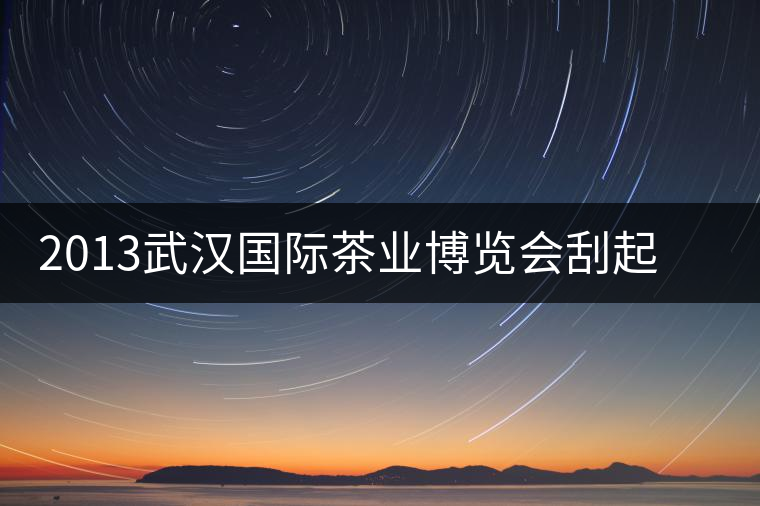 2013武漢國(guó)際茶業(yè)博覽會(huì)刮起一股“黑旋風(fēng) 2013武漢國(guó)際茶業(yè)博覽會(huì)刮起一股“黑旋風(fēng)