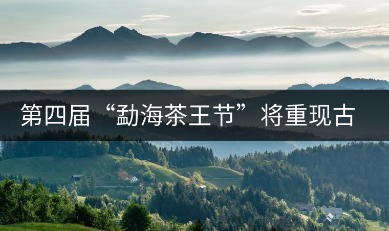 第四屆“勐海茶王節(jié)”將重現(xiàn)古老傳統(tǒng)制茶技藝