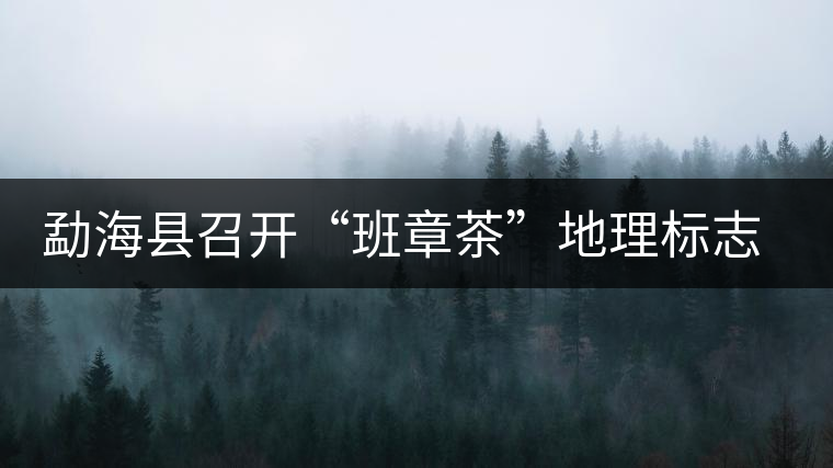 勐?？h召開“班章茶”地理標(biāo)志認(rèn)證評(píng)審會(huì)
