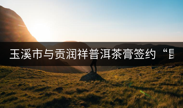 玉溪市與貢潤(rùn)祥普洱茶膏簽約“昆交會(huì)”