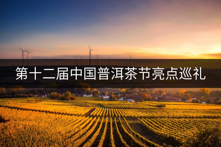 第十二屆中國(guó)普洱茶節(jié)亮點(diǎn)巡禮 第十二屆中國(guó)普洱茶節(jié)亮點(diǎn)巡禮