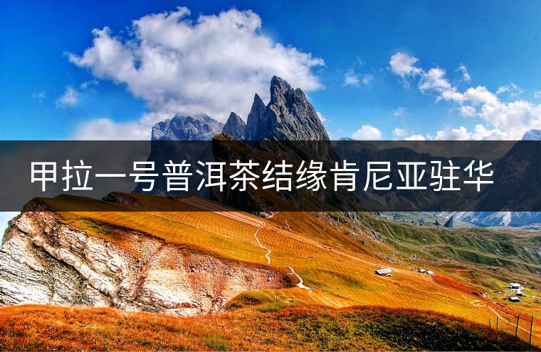 甲拉一號(hào)普洱茶結(jié)緣肯尼亞駐華專員