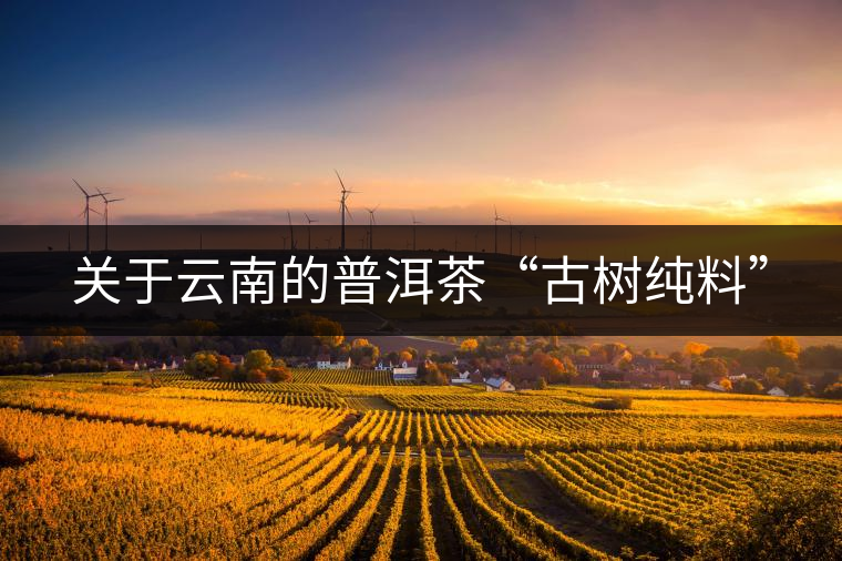 關(guān)于云南的普洱茶“古樹(shù)純料” 關(guān)于云南的普洱茶“古樹(shù)純料”