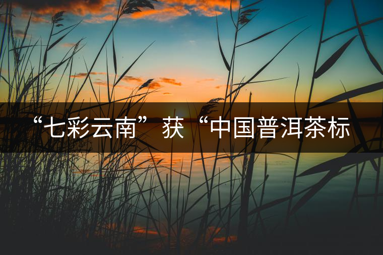 “七彩云南”獲“中國(guó)普洱茶標(biāo)志性品牌”