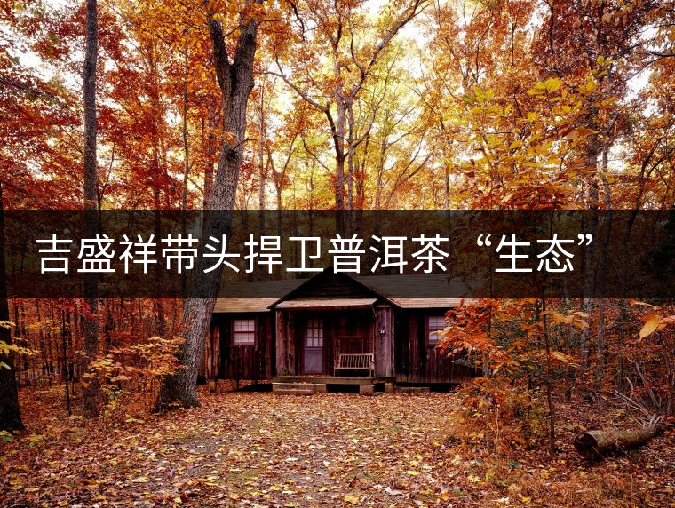 吉盛祥帶頭捍衛(wèi)普洱茶“生態(tài)”坐標(biāo) 吉盛祥帶頭捍衛(wèi)普洱茶“生態(tài)”坐標(biāo)