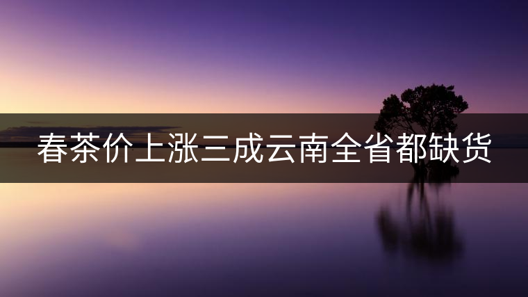 春茶價(jià)上漲三成云南全省都缺貨